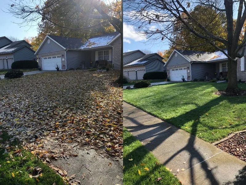 Lawn Clean Up