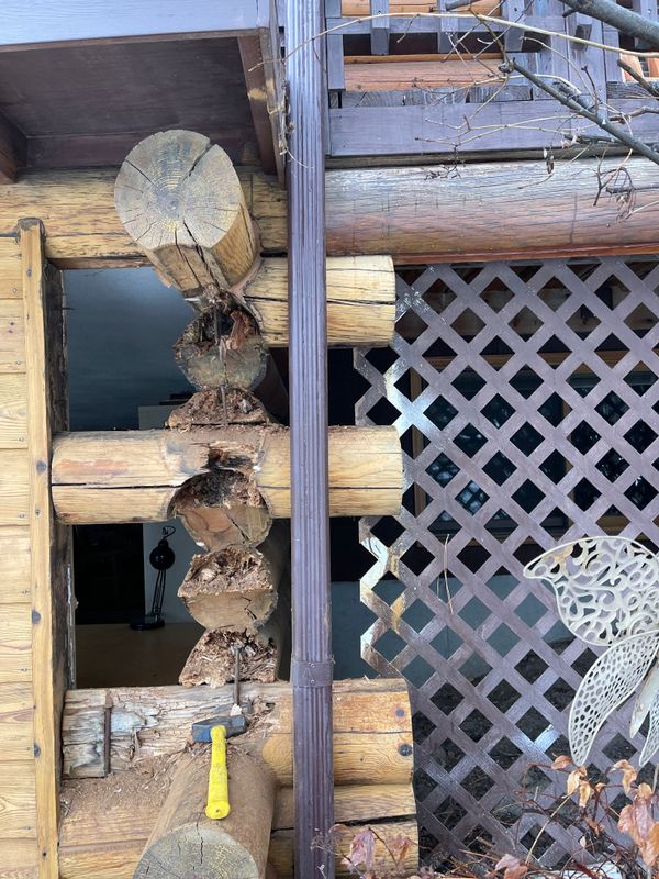 Log replacement and repair.