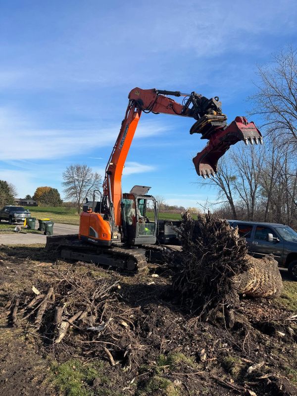 Land clearing