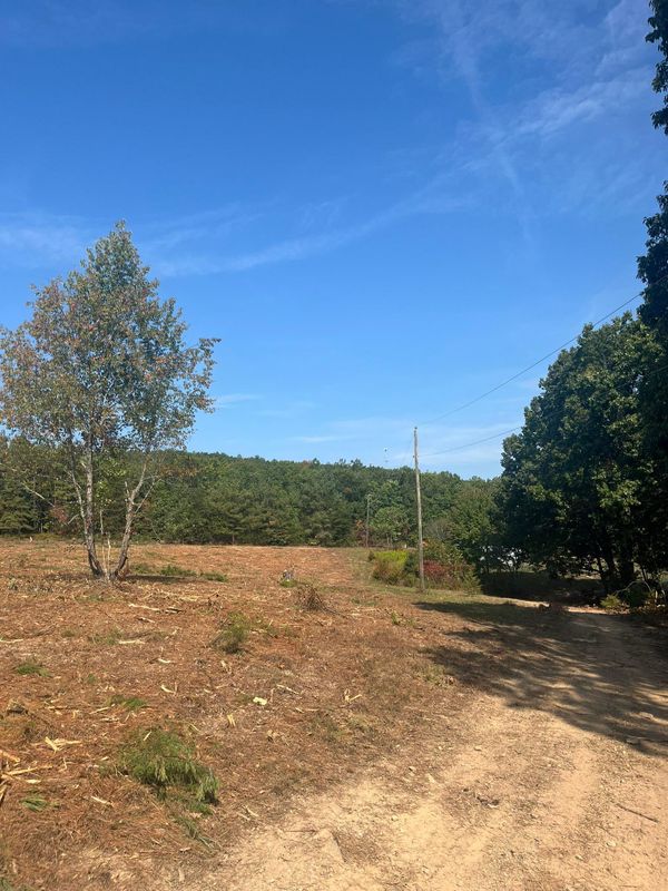 Brush cutting/clearing