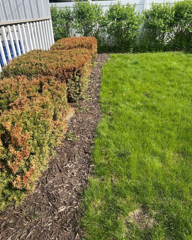 Edging & Borders