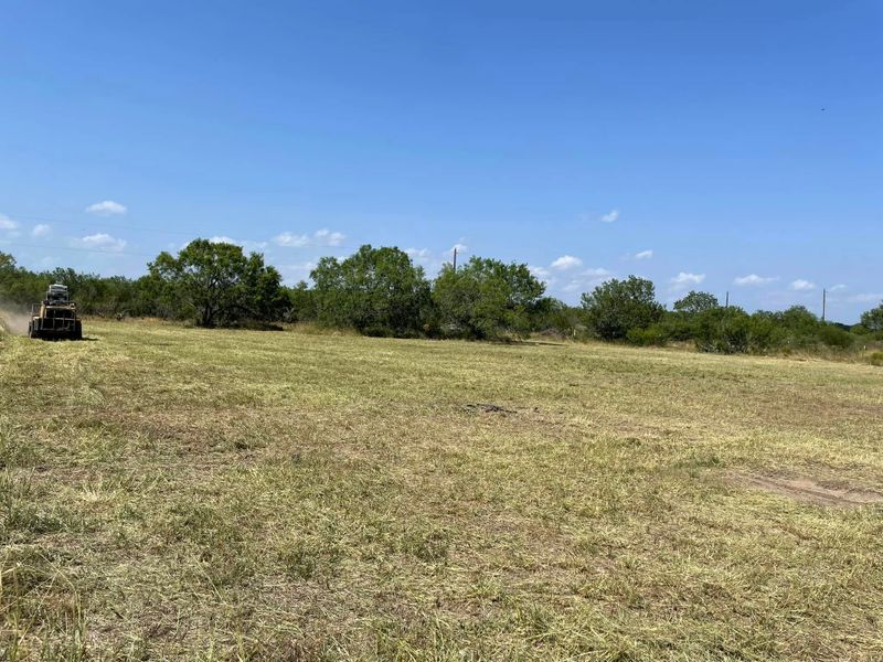 Land Clearing