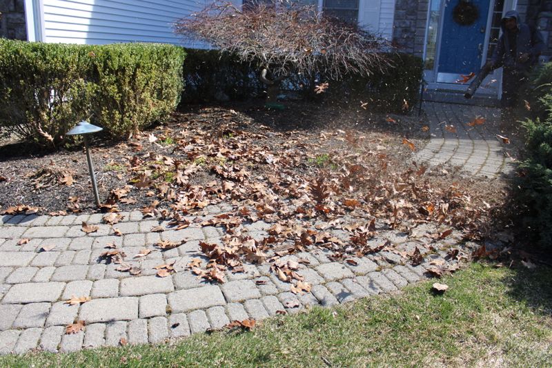 Landscaping