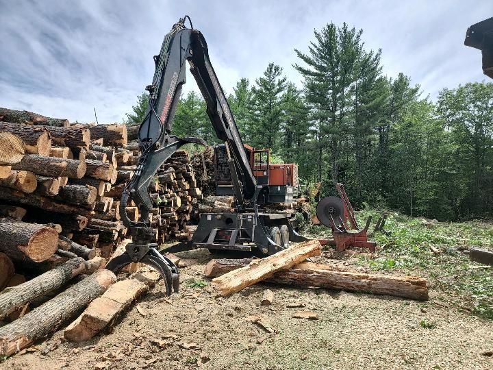 Tree Services