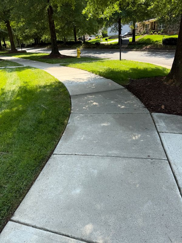 Driveway and Sidewalk Cleaning
