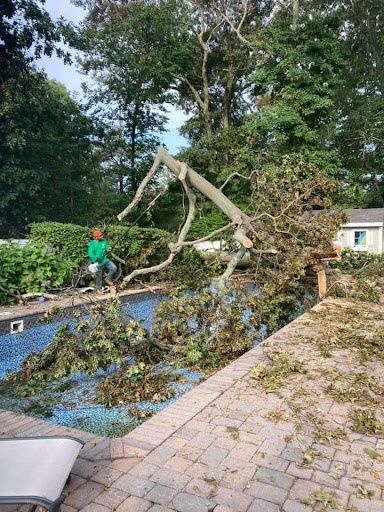 Storm Clean-Ups
