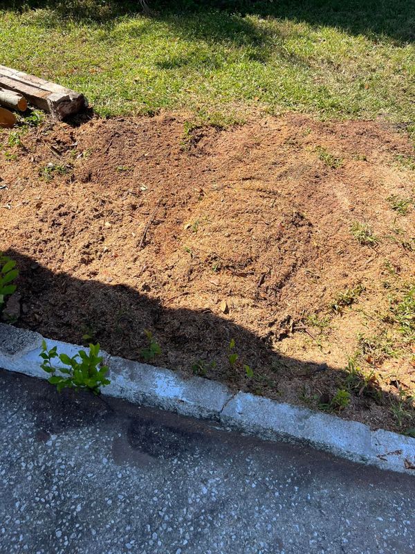 Stump Removal