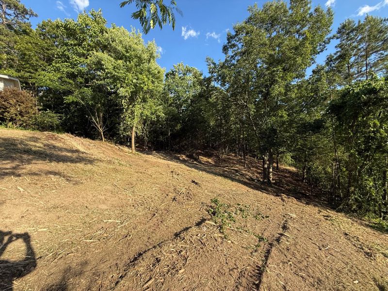Forestry Mulching