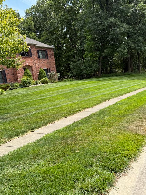 Lawn Mowing and Maintenance