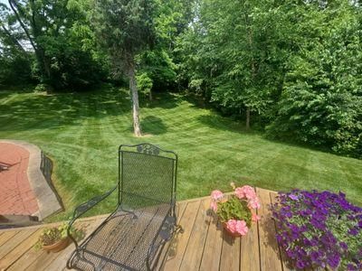Lawn Maintenance