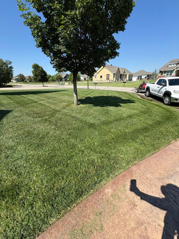 Lawn Maintenance