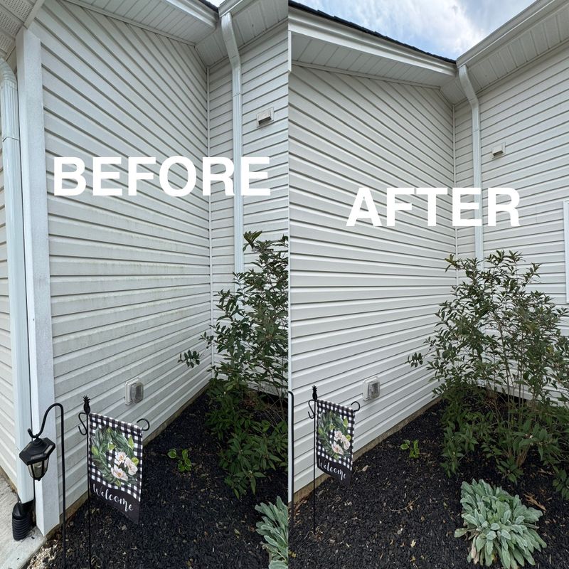 Pressure Washing 