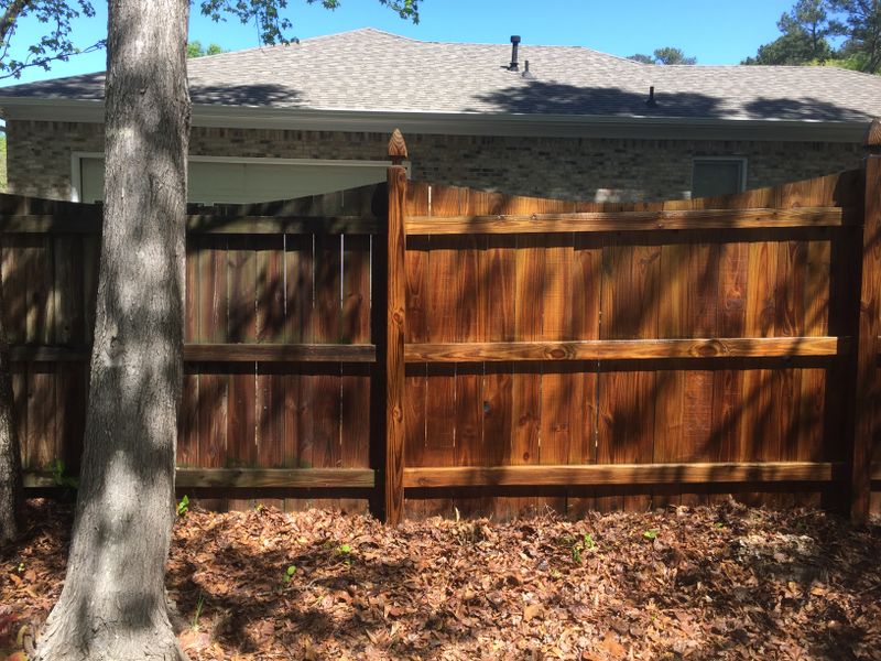 Decking & Fencing Cleaning