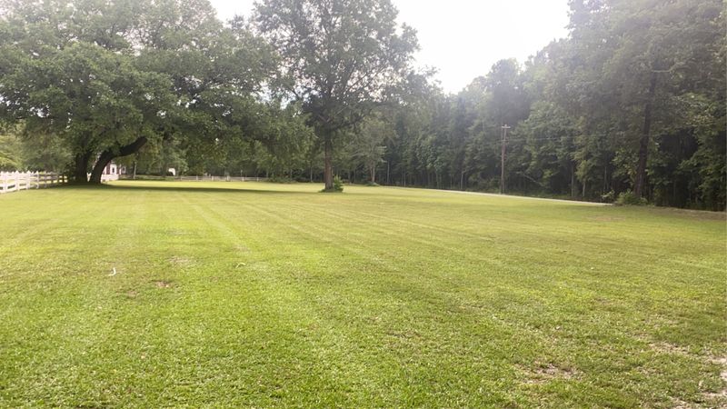 Lawn Maintenance