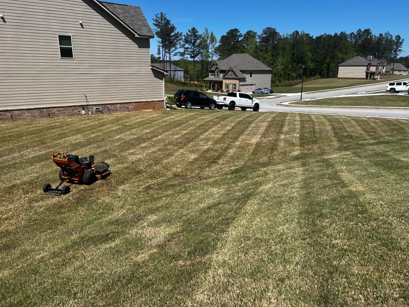 Lawn Care and Maintenance