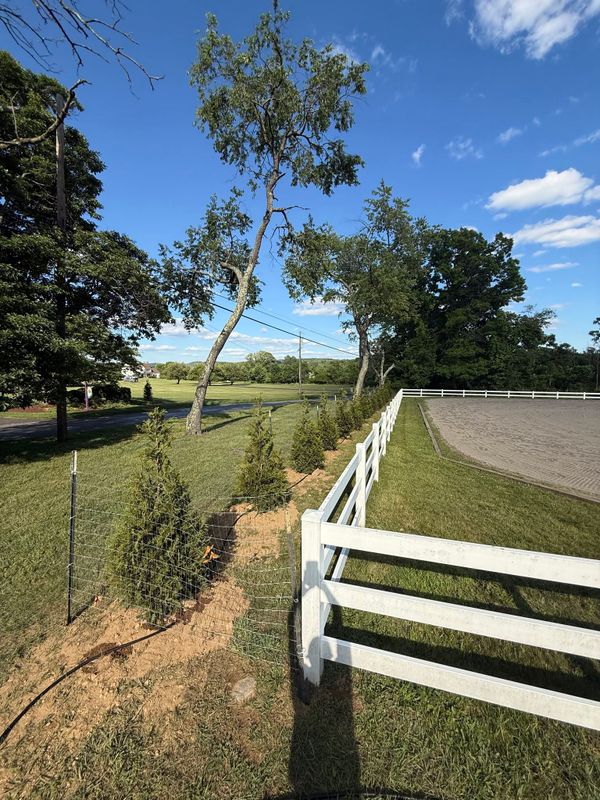 Landscaping