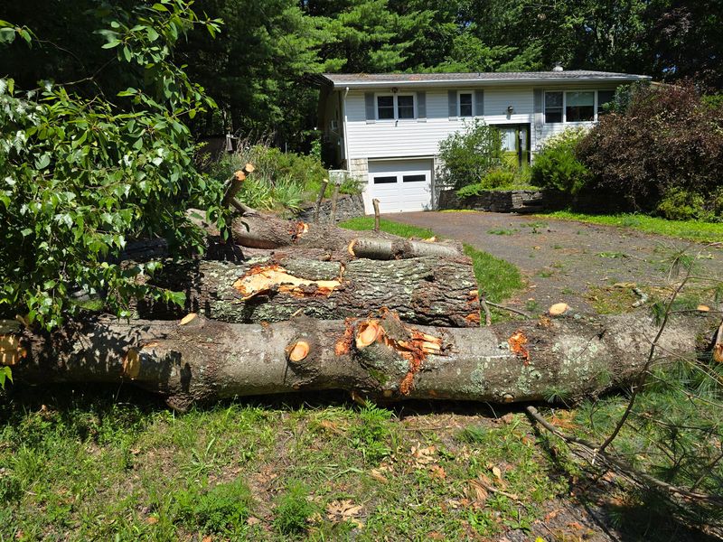 Land Clearing and Site Work