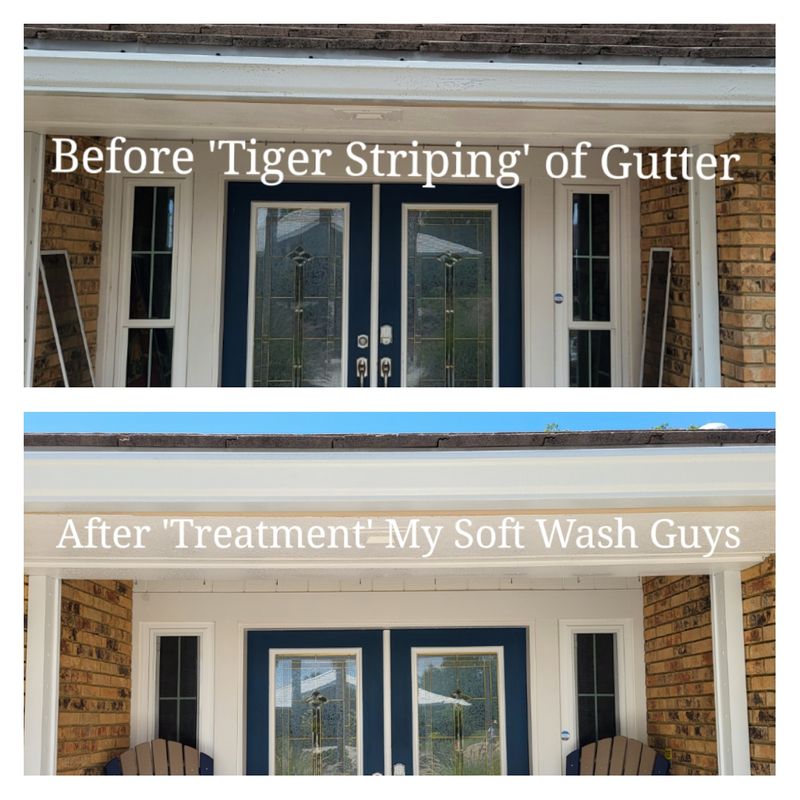 Gutter Cleaning