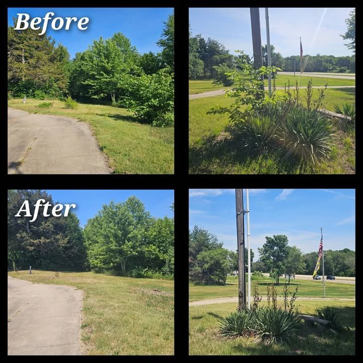 Yard Cleanup