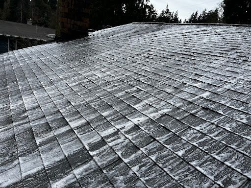 Roof Cleaning
