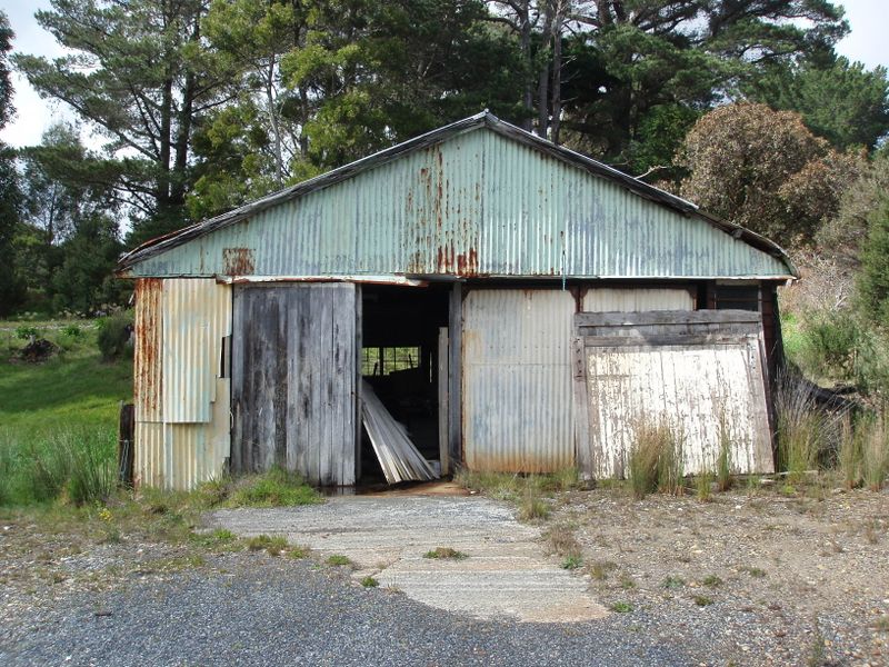 Shed Removal