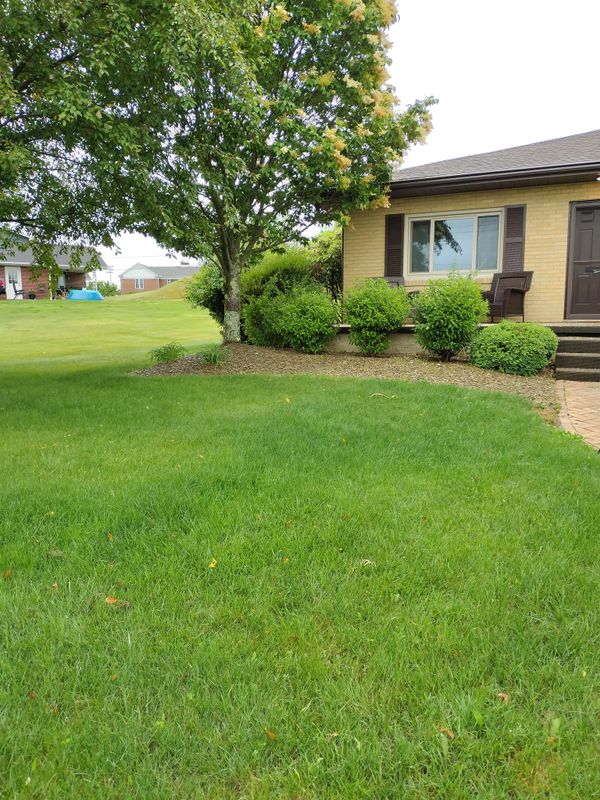 Landscaping