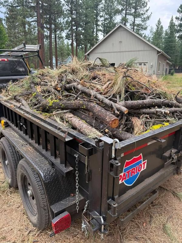Junk Removal