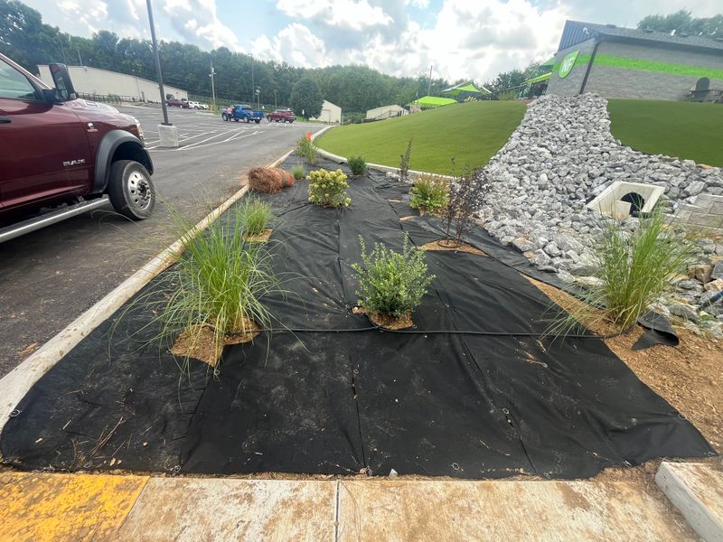 Landscape Installation