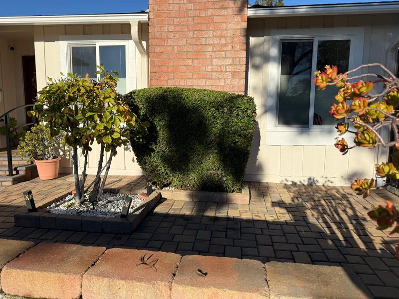 Landscaping