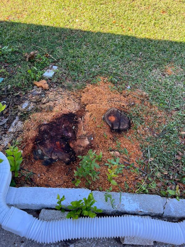 Stump Removal