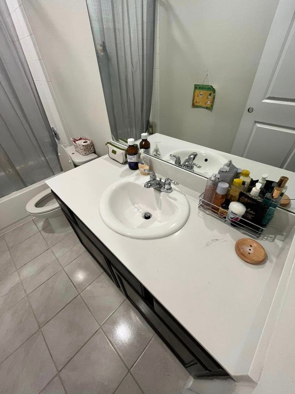 Bathroom Cleaning
