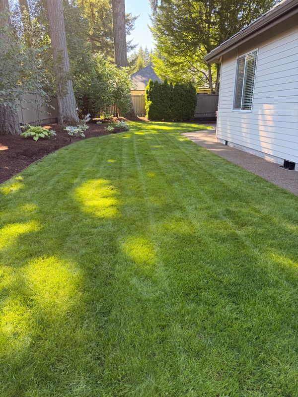 Mowing