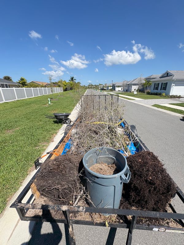 Seasonal Yard Cleanup