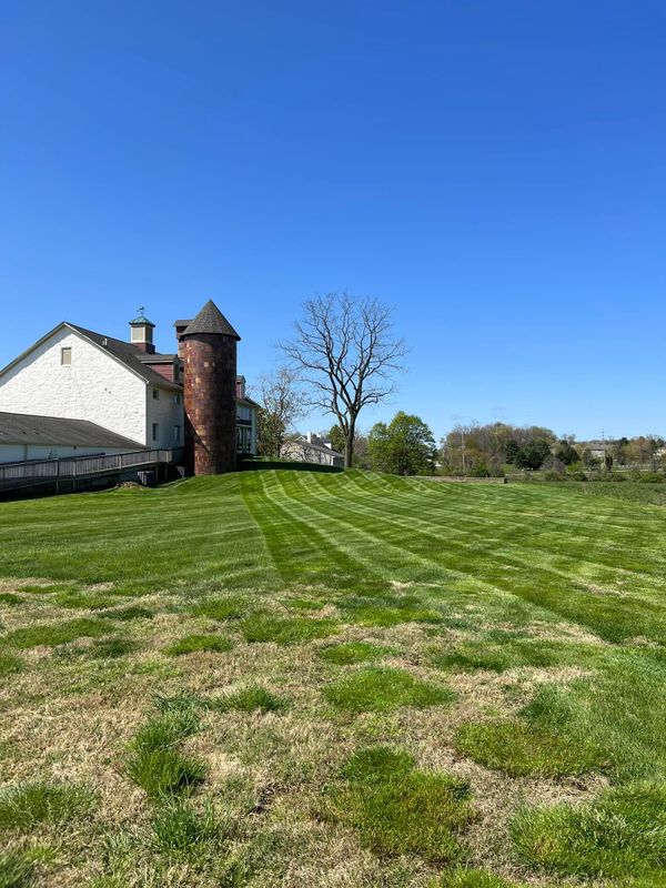 Lawn Maintenance