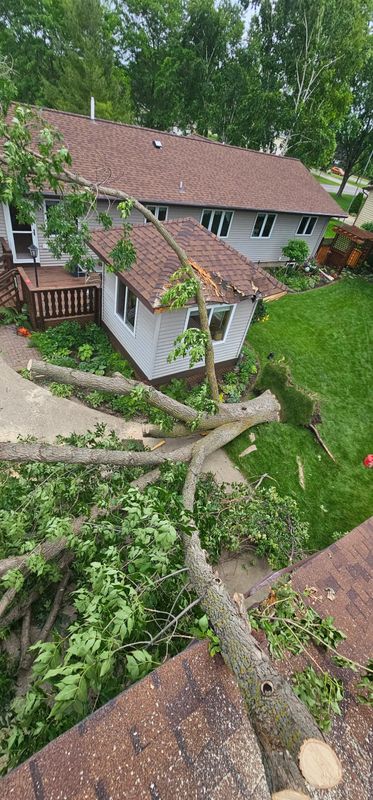 Storm Damage Clean-Up
