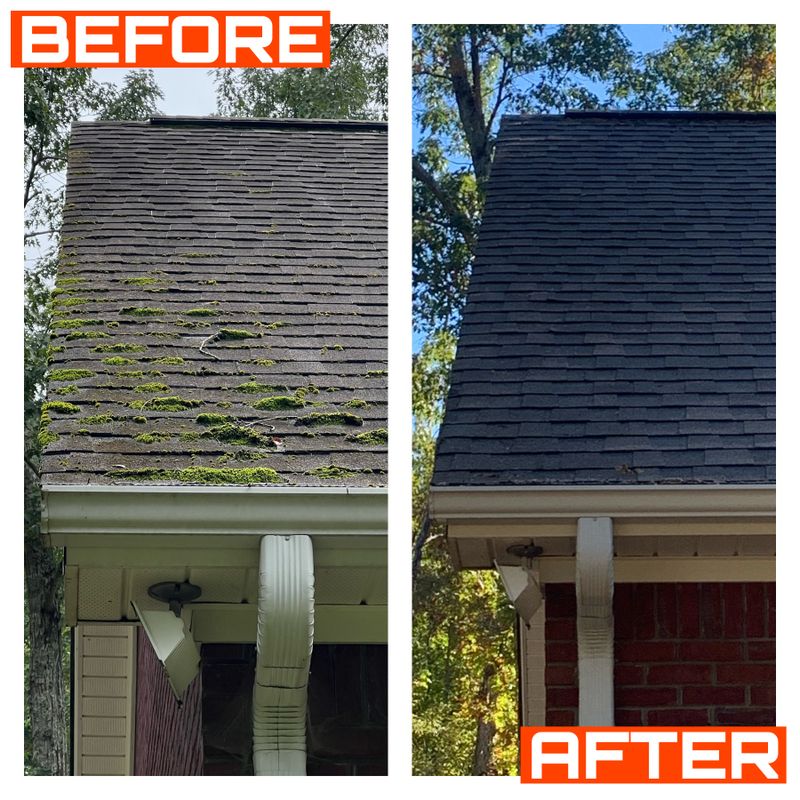 Roof Cleaning