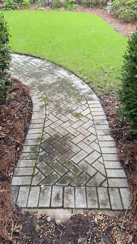 Driveway and Sidewalk Cleaning