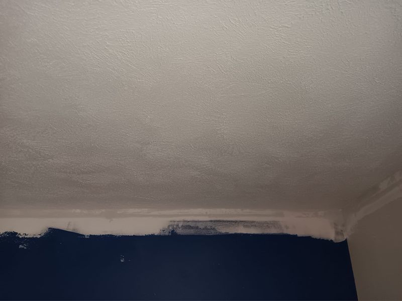 Subfloor repair and Beam Shoring