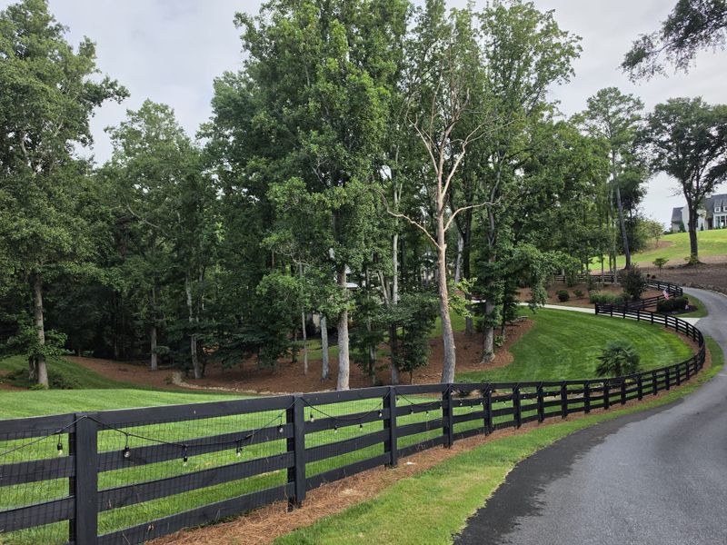 4 Rail Horse Fence