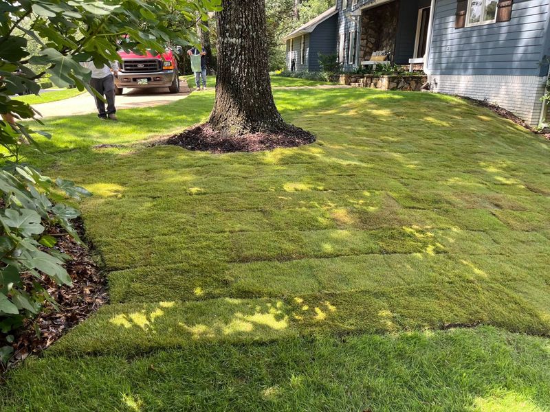 Landscape Design
