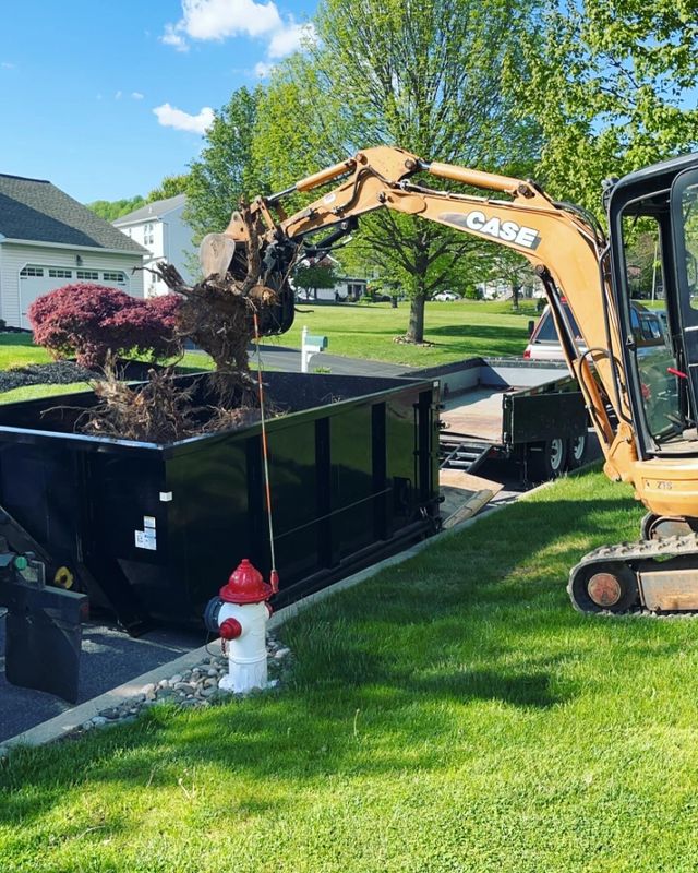Tree Removal gallery