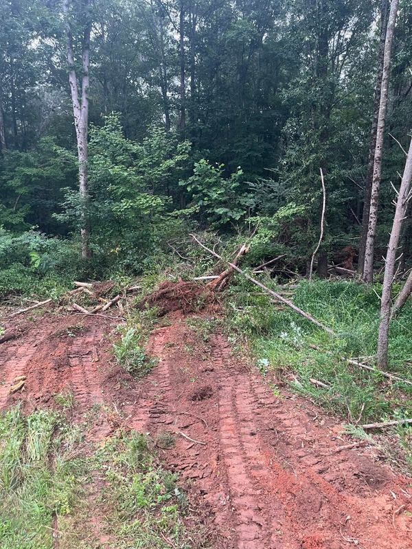 Brush cutting/clearing