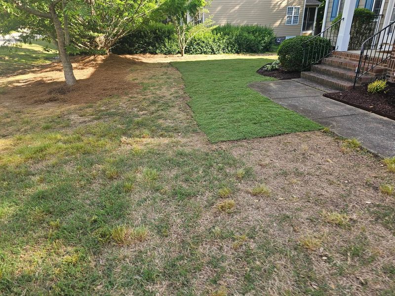 Hardscaping