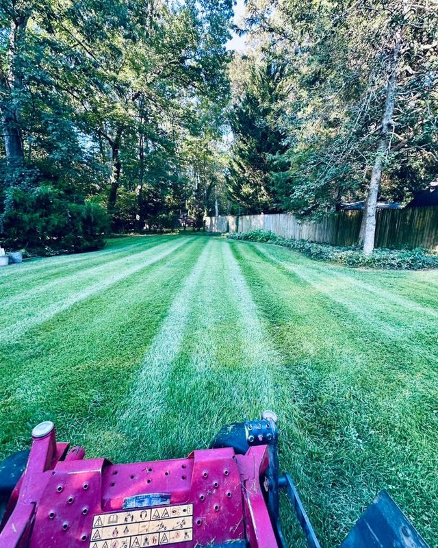 Spring and Fall Clean Up