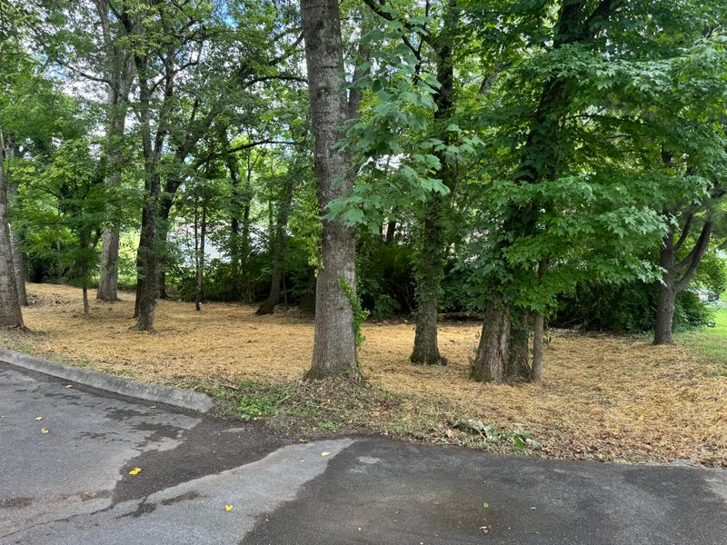 Land Clearing