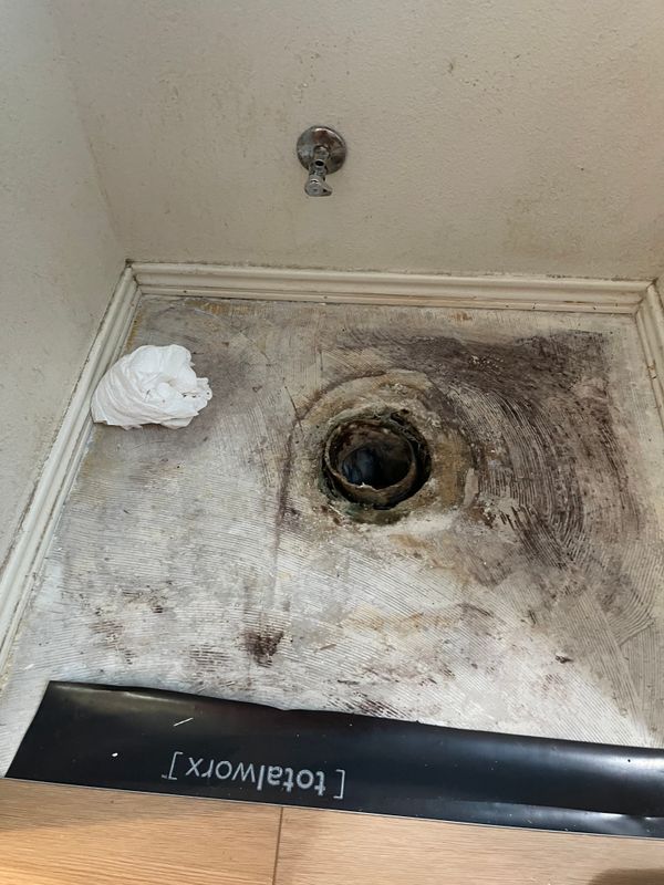 Everyday Solutions: Pawsome Plumbing's Expert Drain Repair