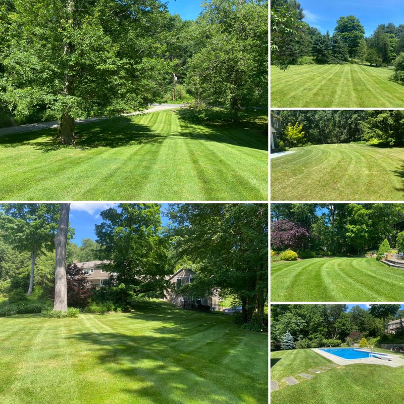Lawn Care
