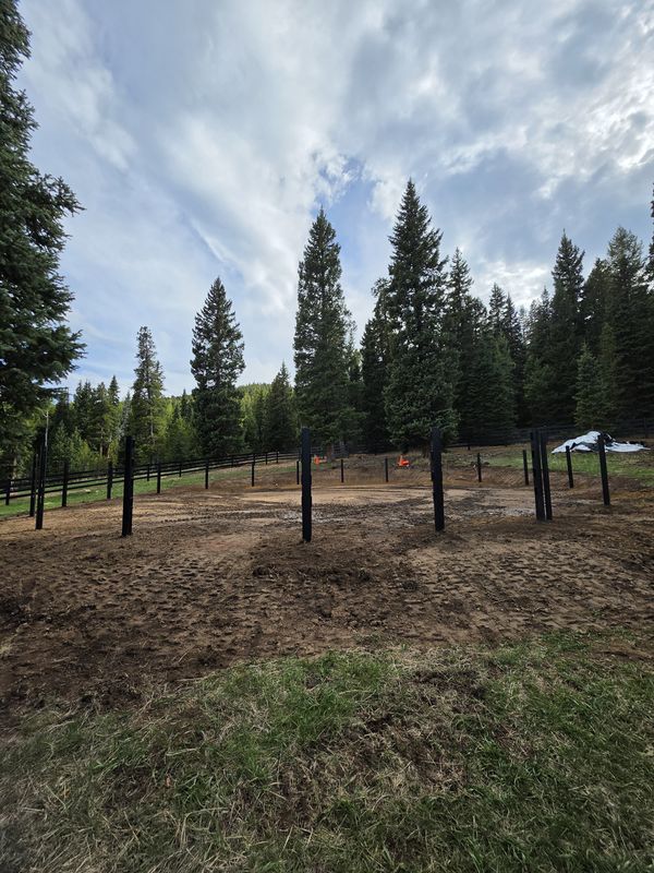 Metal Fencing