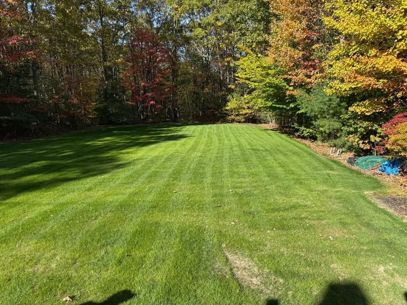 Mowing