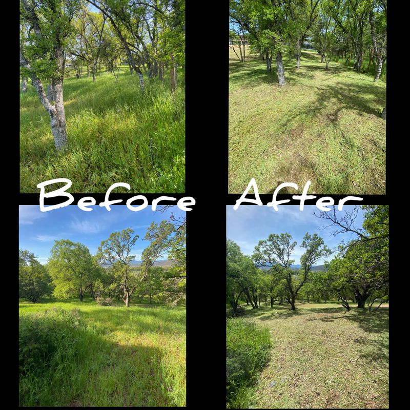 Plant & Shrub Installations